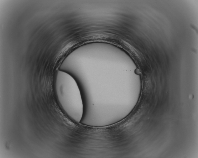 X0000092070778200709121025