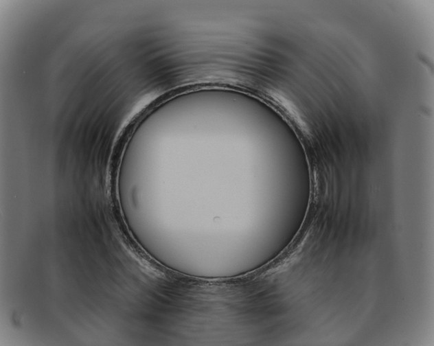 X0000092070780200709121025