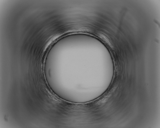 X0000092070781200709121025