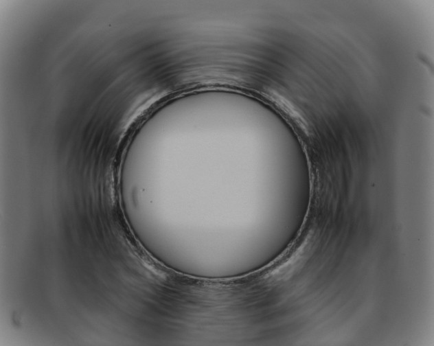 X0000092070782200709121025