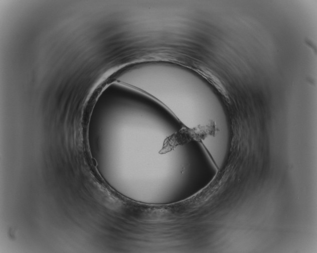 X0000092070784200709121025