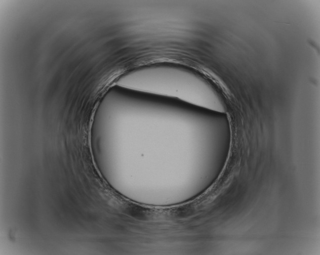 X0000092070785200709121025