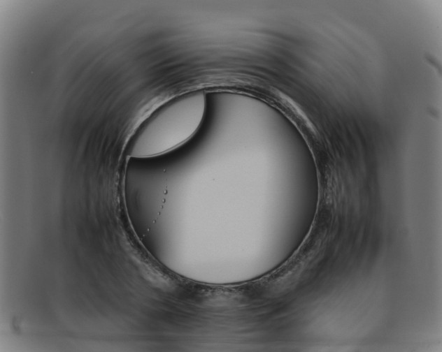 X0000092070786200709121025