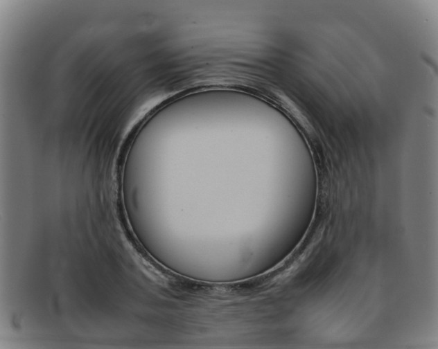 X0000092070787200709121025