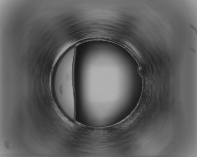 X0000092070788200709121025