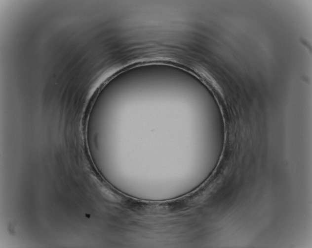X0000092070789200709121025