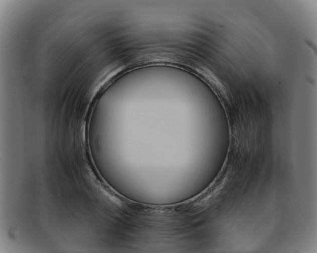 X0000092070790200709121025