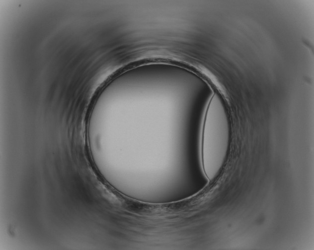X0000092070791200709121025