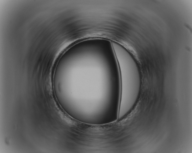 X0000092070792200709121025
