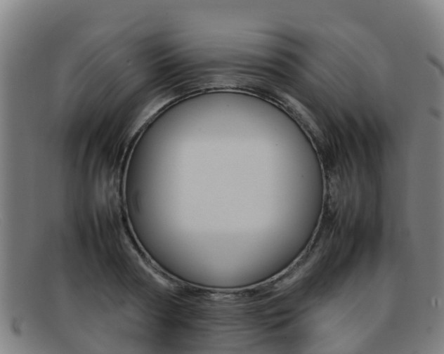 X0000092070794200709121025