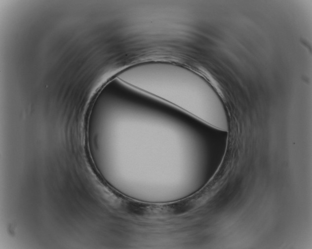 X0000092070795200709121025