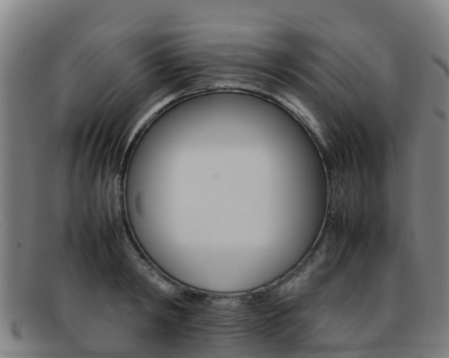 X0000092070798200709121025