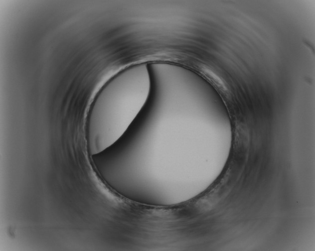 X0000092070800200709121025