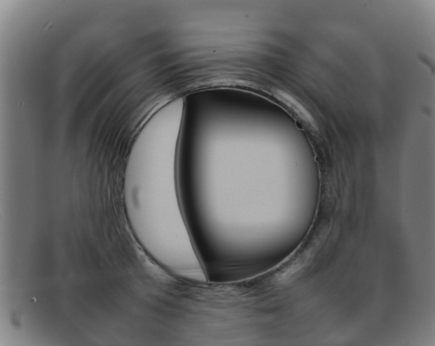 X0000092070801200709121025