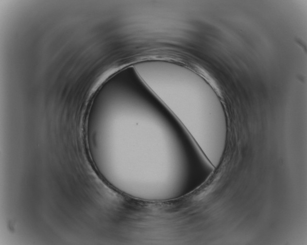 X0000092070803200709121025