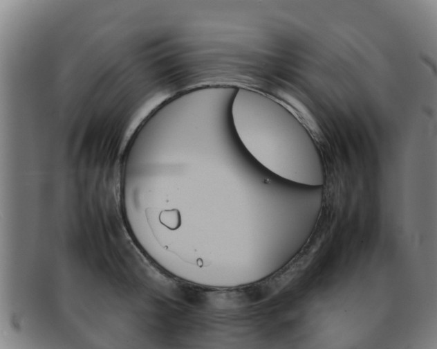 X0000092070804200709121025