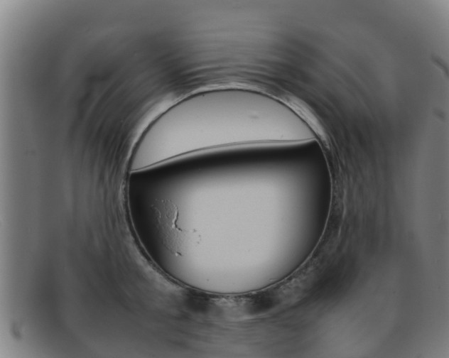 X0000092070805200709121025