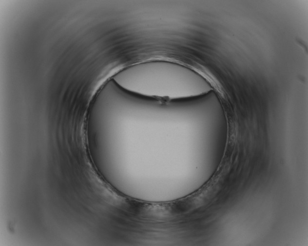 X0000092070806200709121025