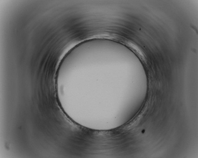 X0000092070808200709121025