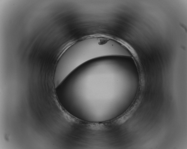 X0000092070809200709121025