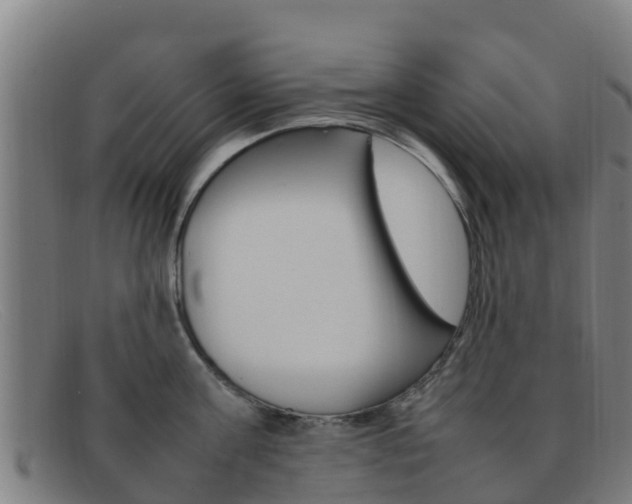 X0000092070811200709121024
