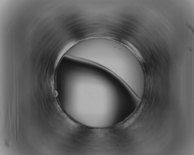 X0000092070812200709121024