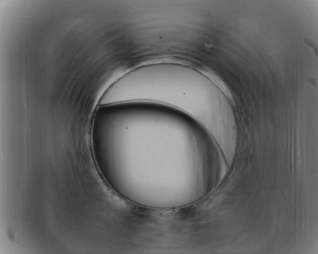X0000092070813200709121024