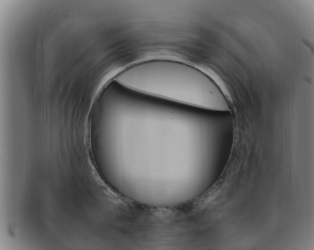 X0000092070815200709121024
