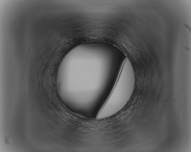 X0000092070817200709121024