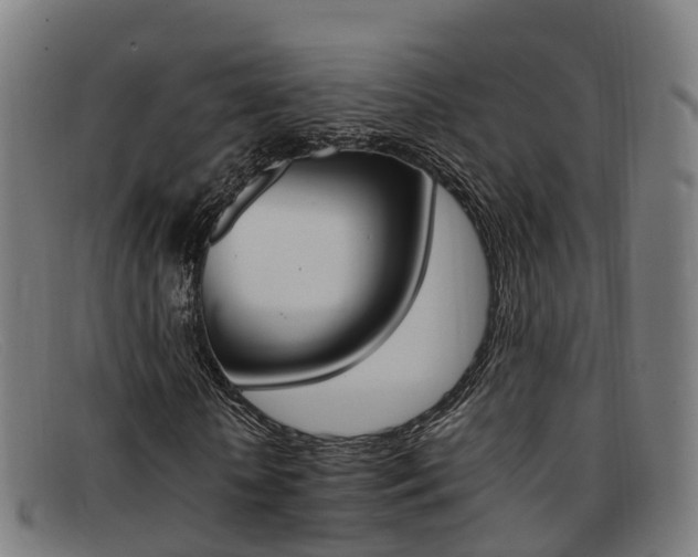 X0000092070818200709121024