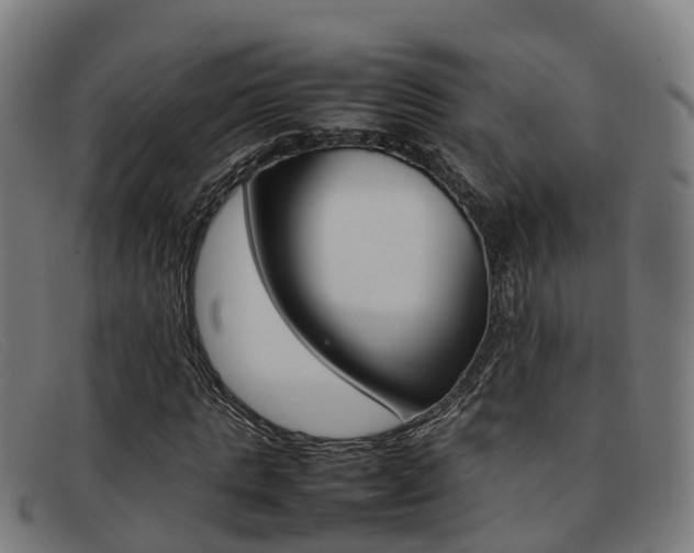 X0000092070821200709121024