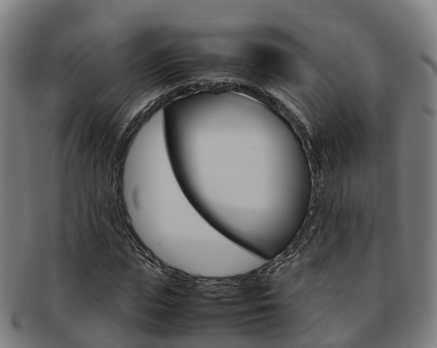 X0000092070823200709121024