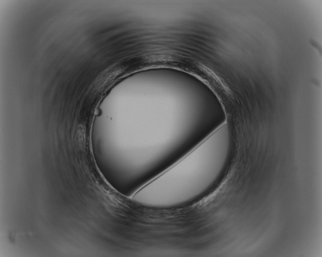 X0000092070825200709121024