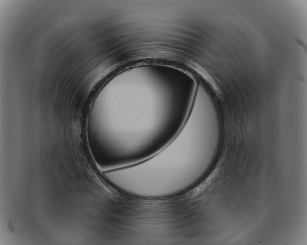 X0000092070826200709121024