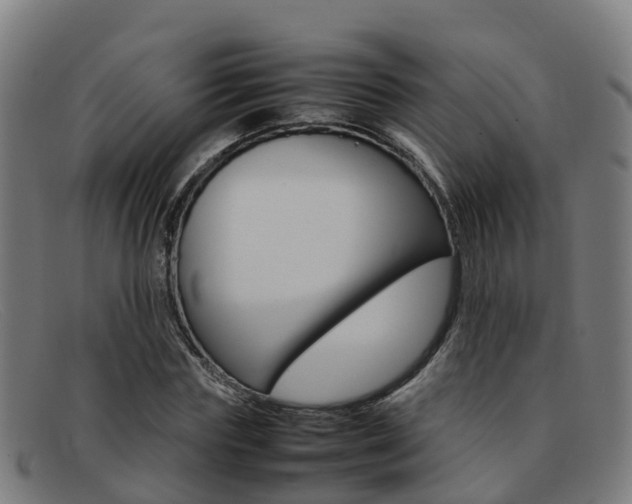 X0000092070827200709121024