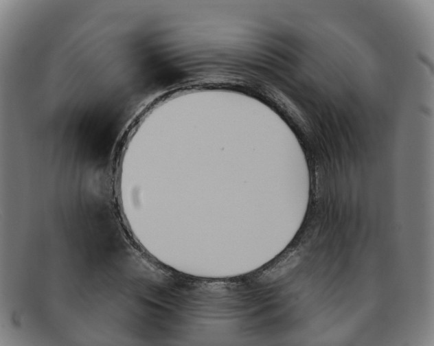 X0000092070828200709121024