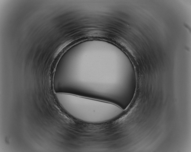 X0000092070829200709121024