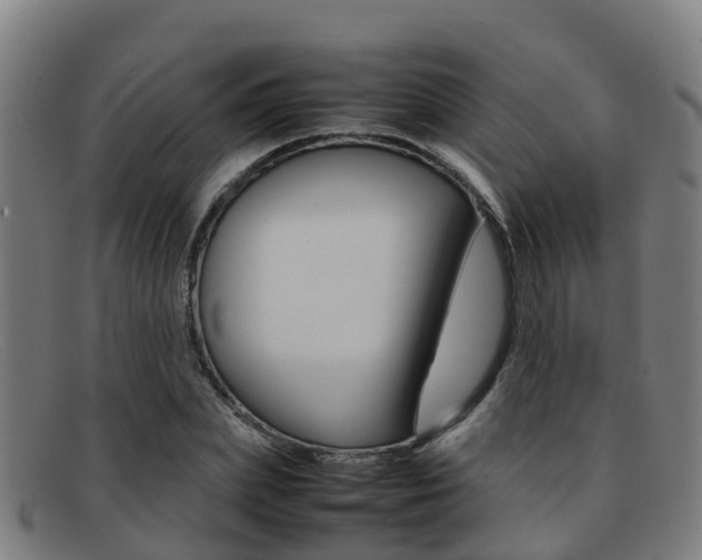 X0000092070831200709121024
