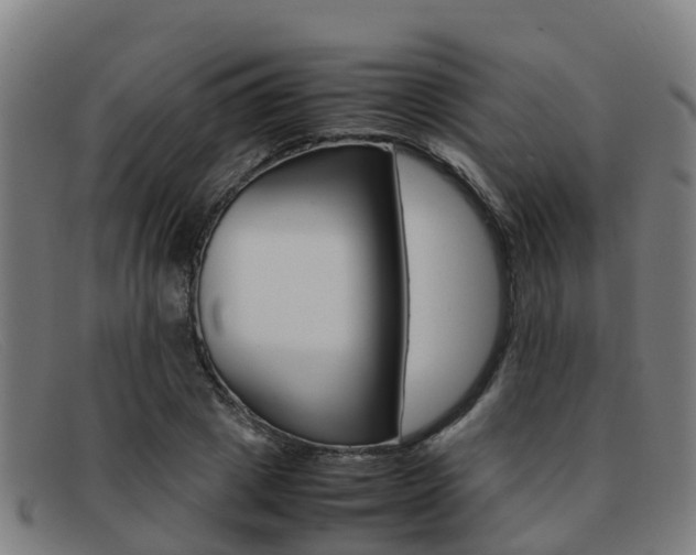 X0000092070833200709121024
