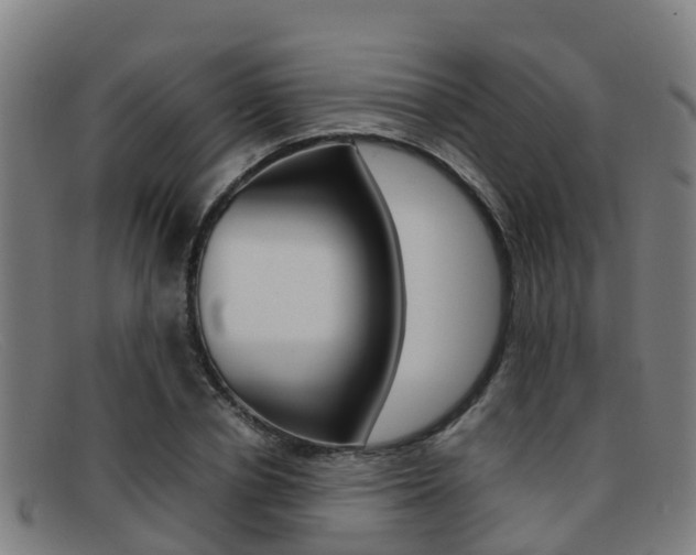 X0000092070834200709121024