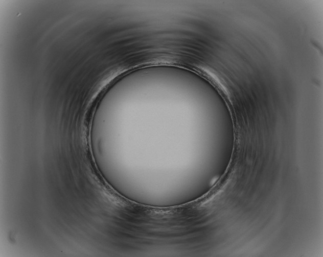X0000092070835200709121024