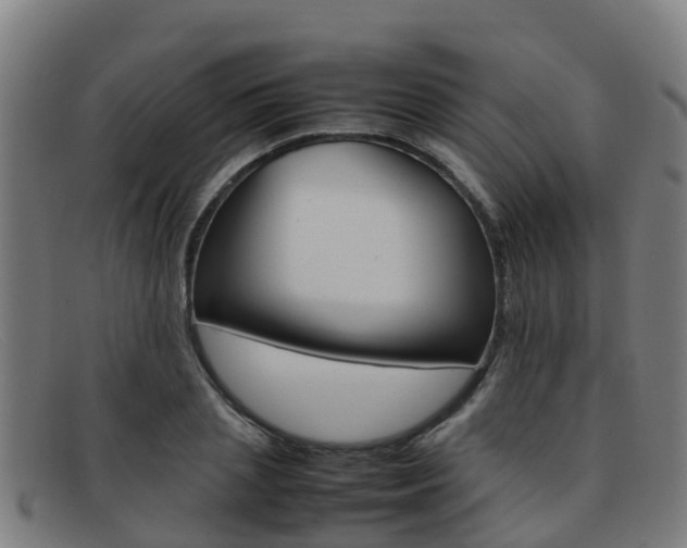 X0000092070837200709121024