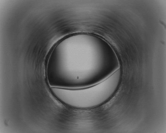 X0000092070838200709121024