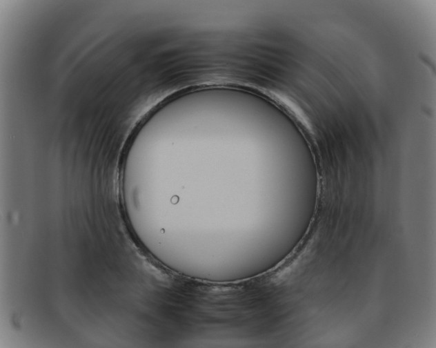 X0000092070839200709121024