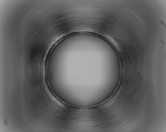 X0000092070840200709121024