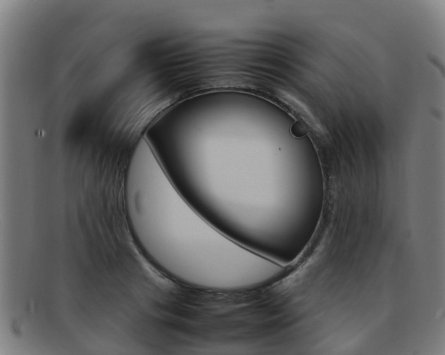 X0000092070841200709121024