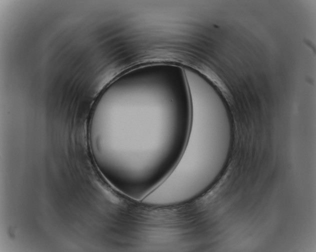 X0000092070842200709121024
