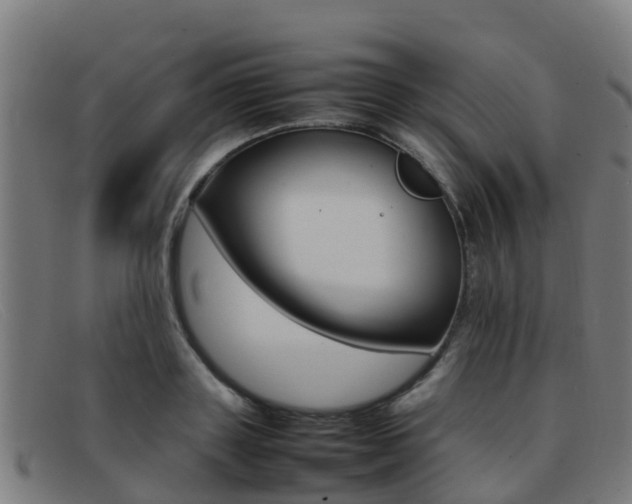 X0000092070843200709121024