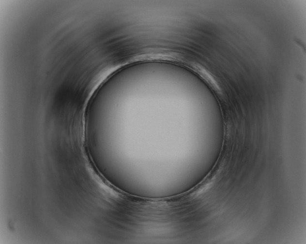 X0000092070844200709121024
