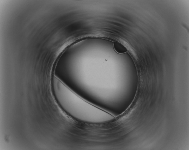X0000092070845200709121024